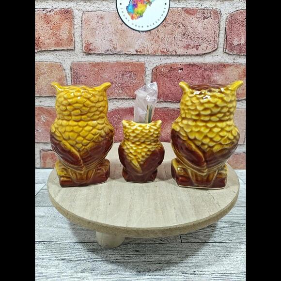 Vintage Owl Salt & Pepper Shakers, Toothpicks Horse Carriage, Googly Eyes, Amish - Picture 7 of 10